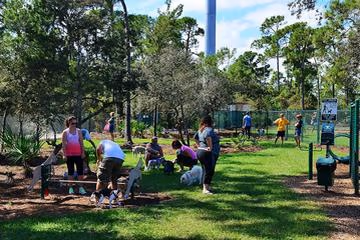 Lyngate Park and Dog Park photo 1